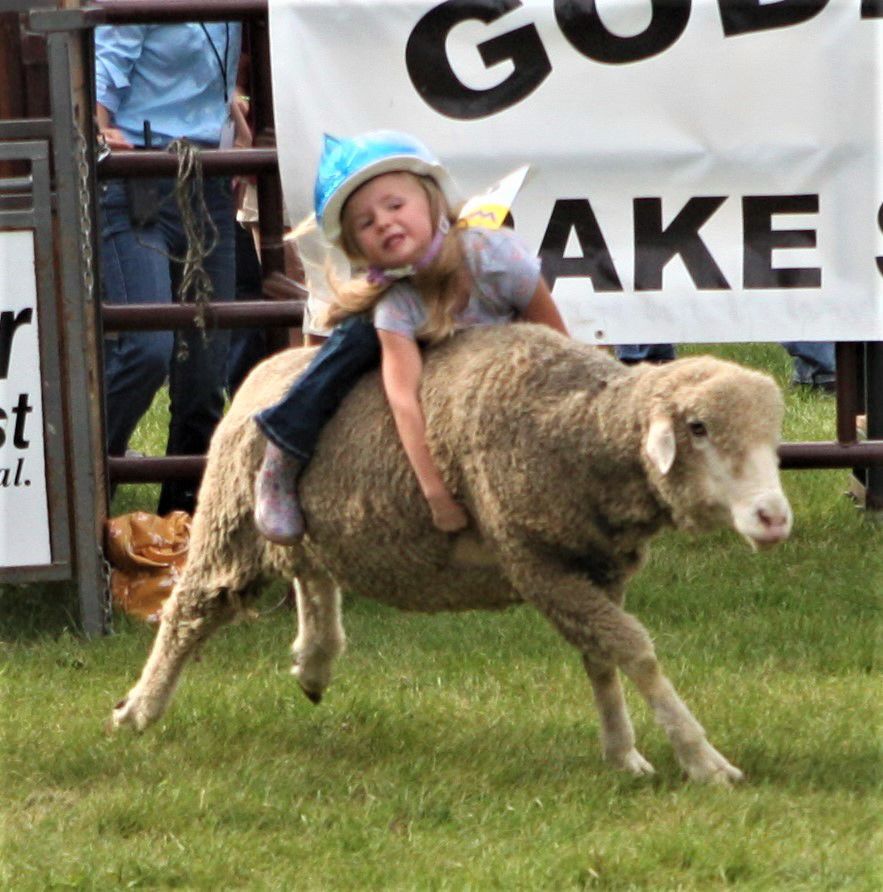 MB Laney Trotter 91 finalist.jpg